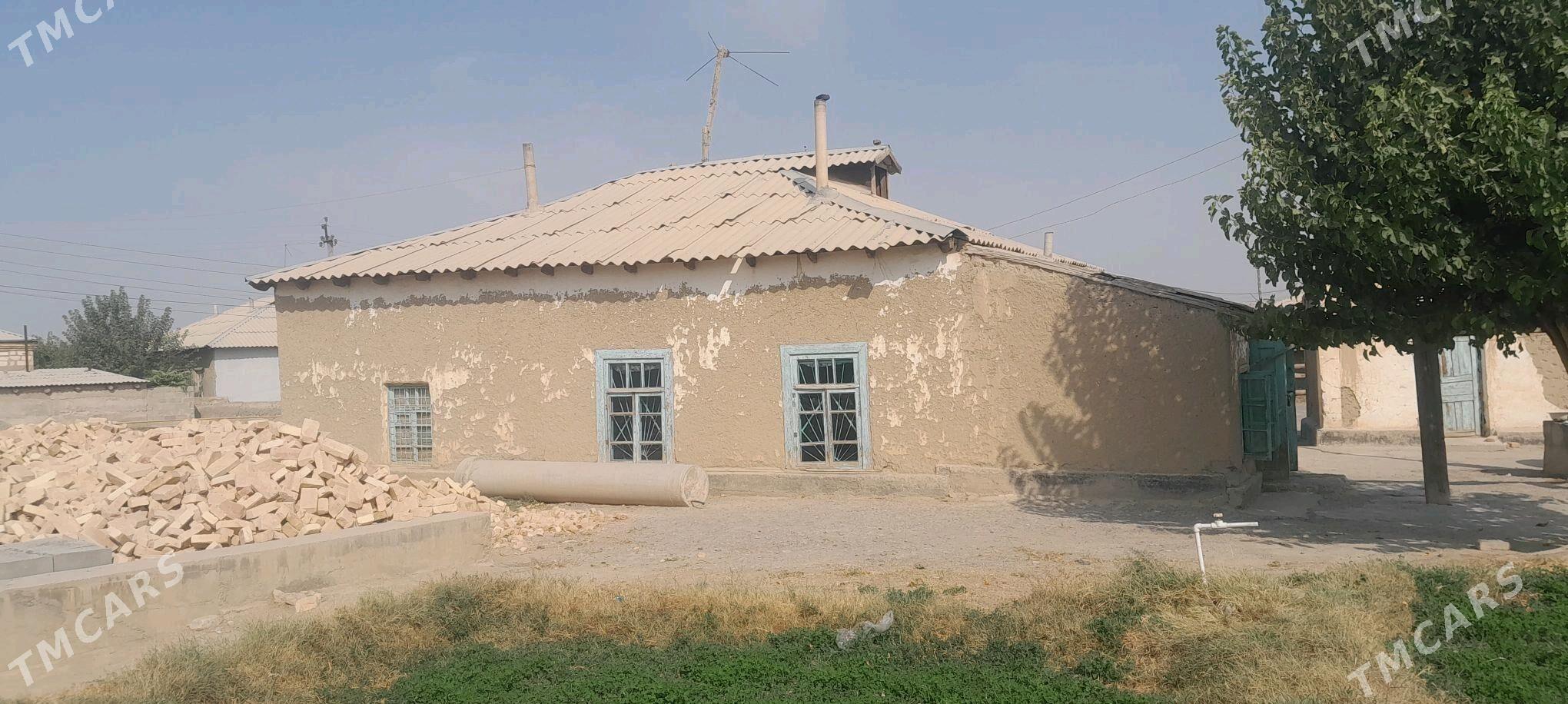 satlyk jaÿ - Бахарден - img 2