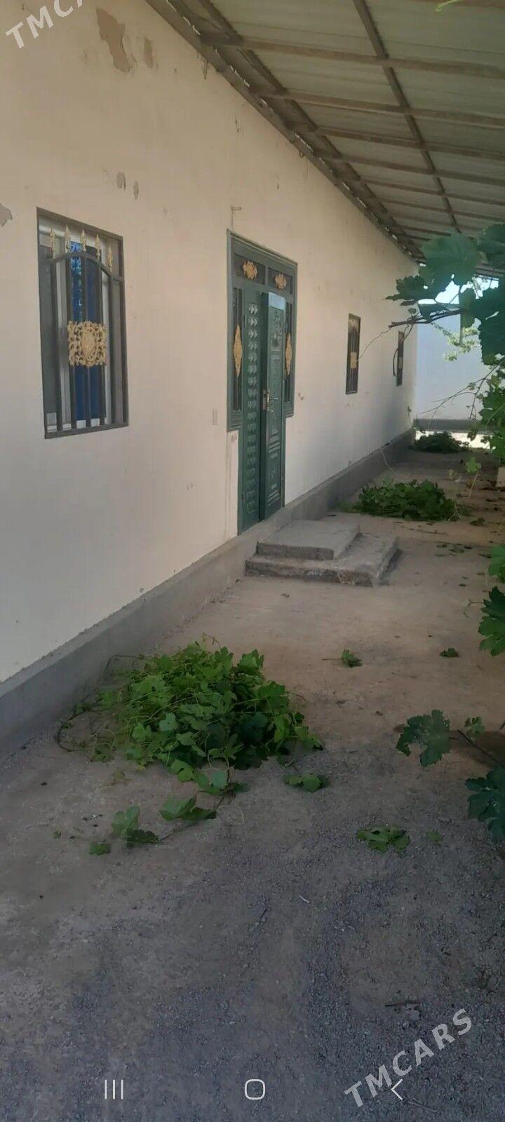 iki komnat howly jay - Görogly (Tagta) - img 6