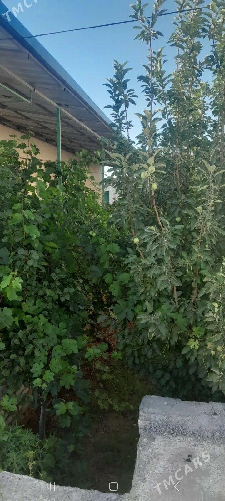 iki komnat howly jay - Görogly (Tagta) - img 4