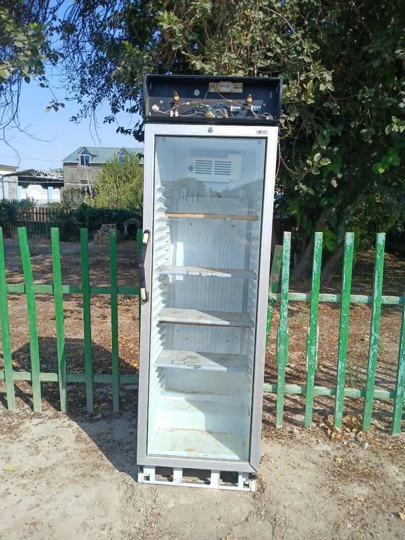 SATYN ALYAS - Hitrowka - img 3