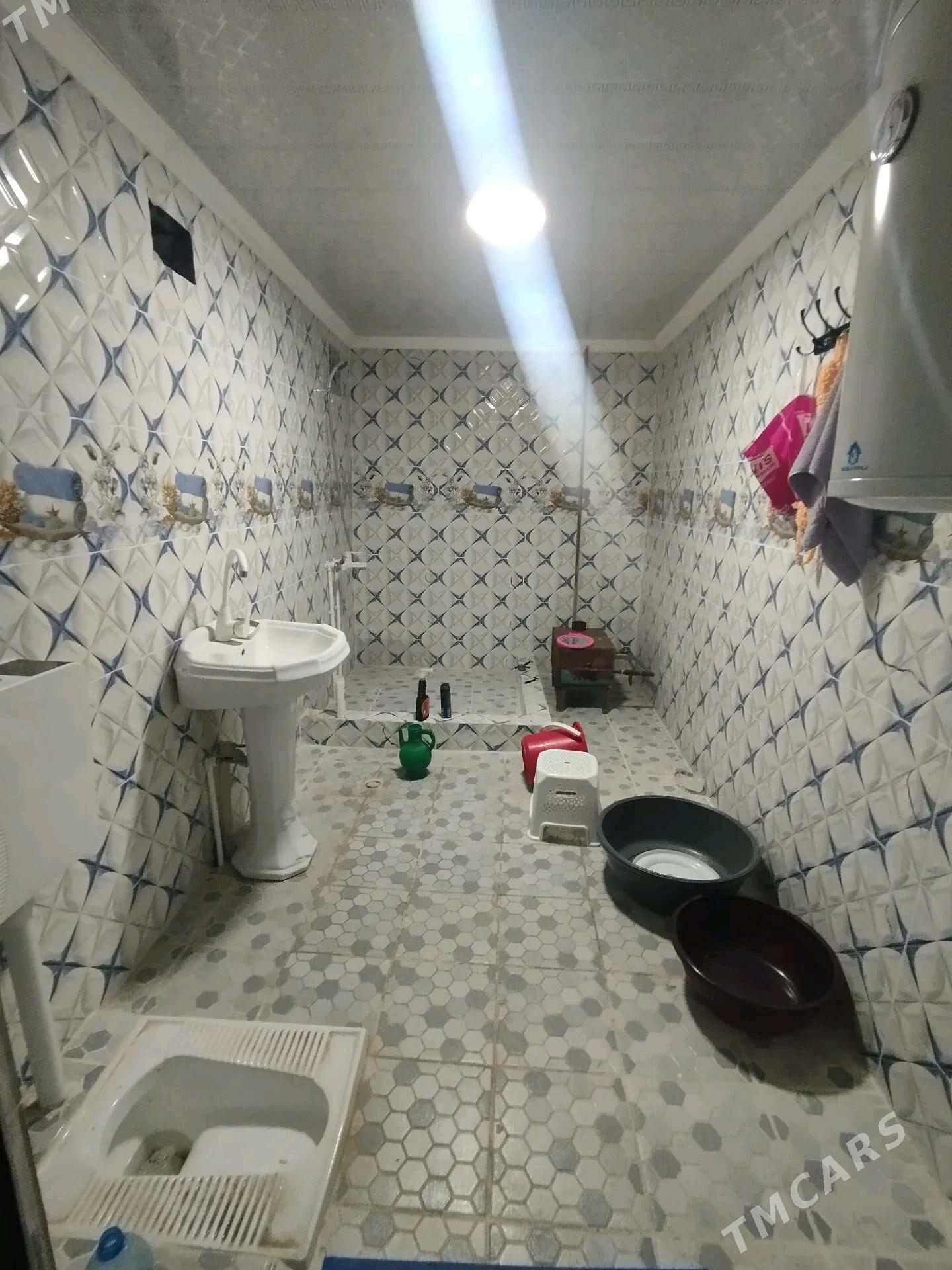 Satlyk jay - Мары - img 6