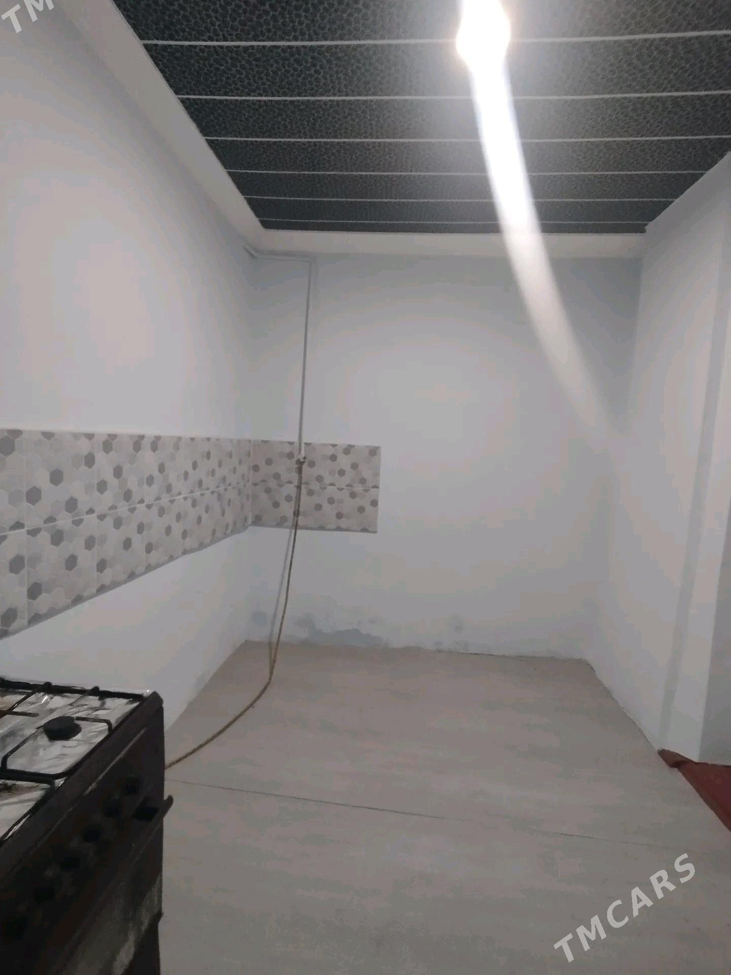 Satlyk jay - Мары - img 4