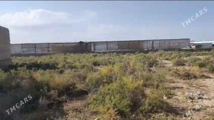 ýer uçastga участок земли - Кака - img 2