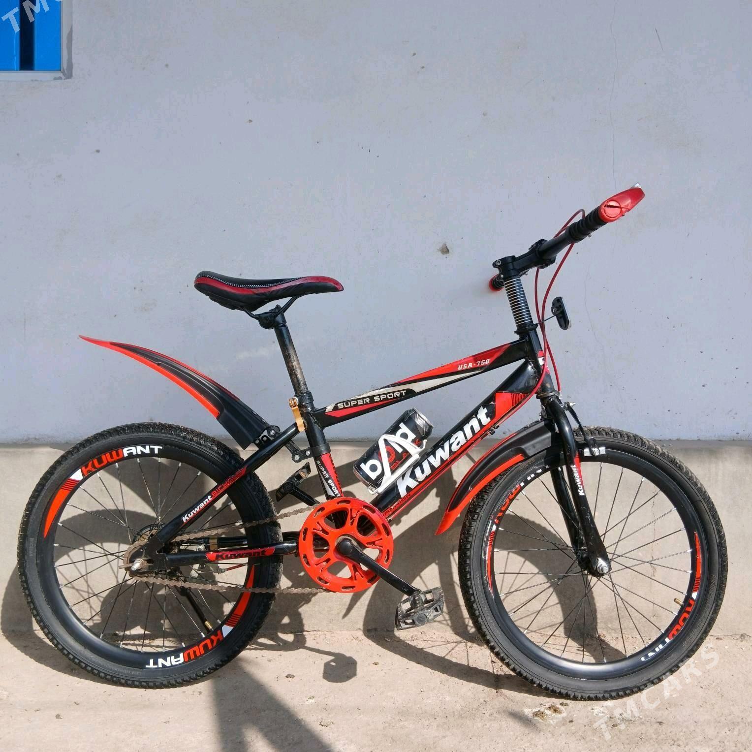 Velik - Daşoguz - img 2