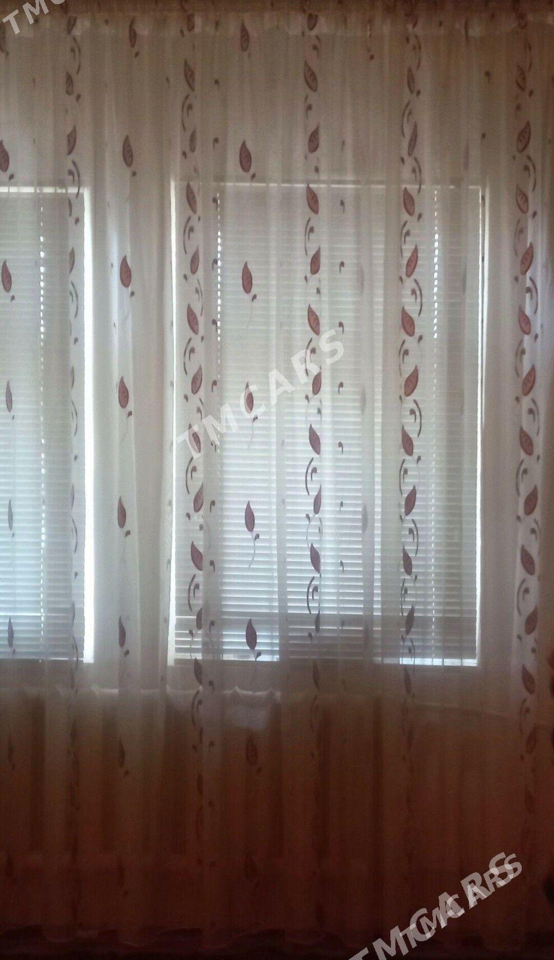 tuty - Parahat 3 - img 2