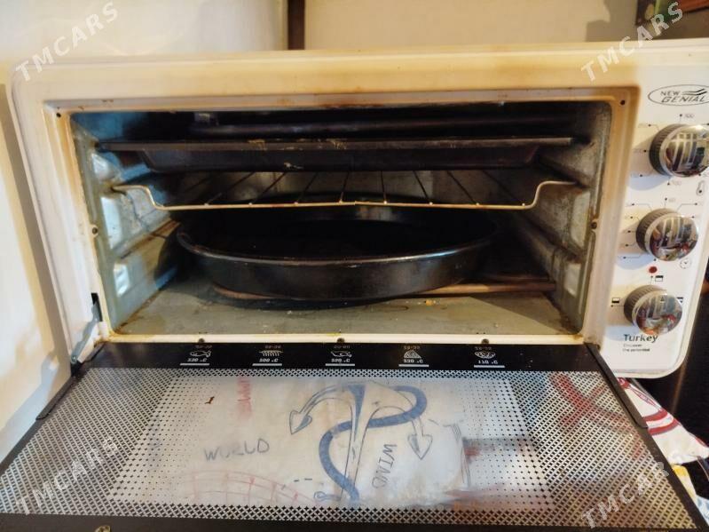 Kici duhowka - Aşgabat - img 1