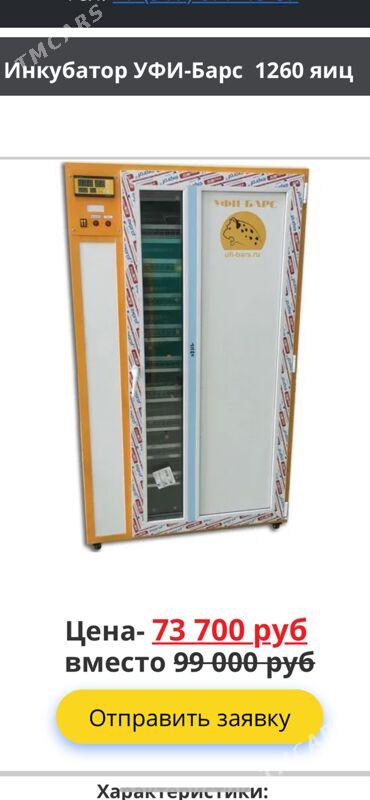 инкубатор - Дашогуз - img 2