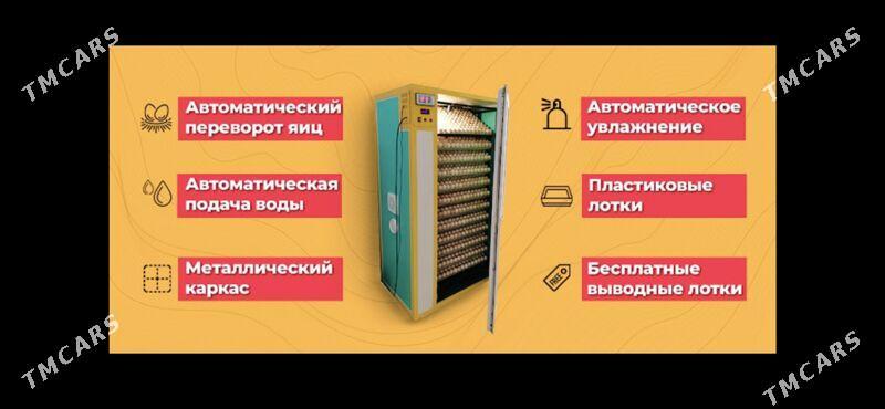 инкубатор - Дашогуз - img 4