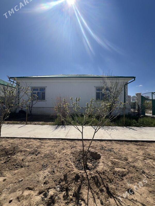 Taze zaman plan - Тязе заман - img 8