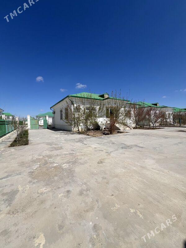 Taze zaman plan - Тязе заман - img 2