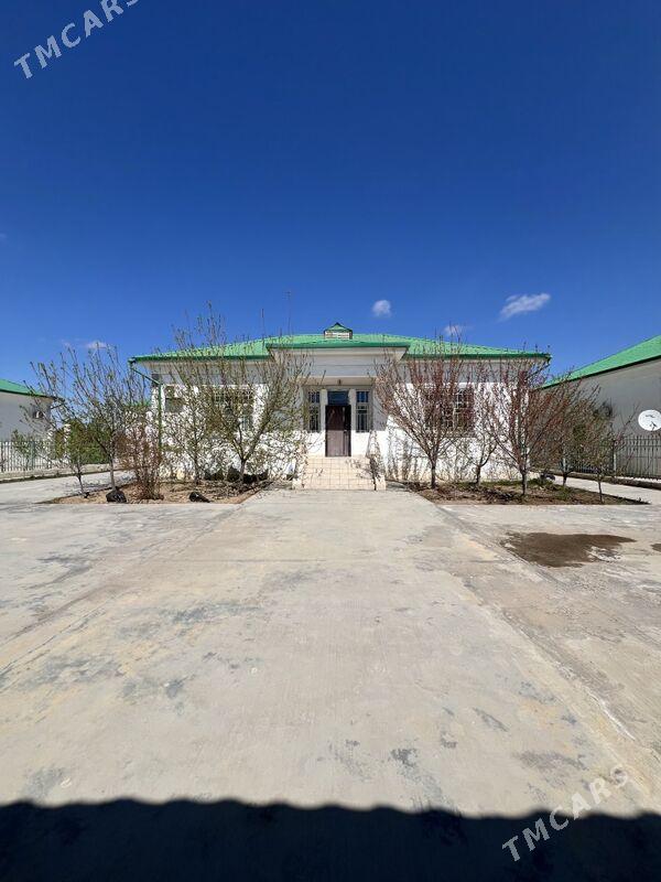 Taze zaman plan - Тязе заман - img 1