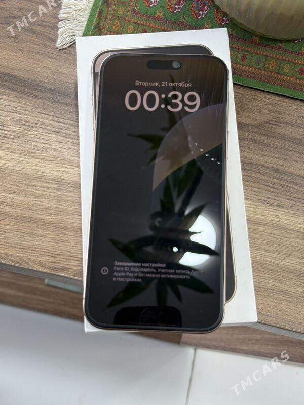 16proMax - Бузмеин - img 2