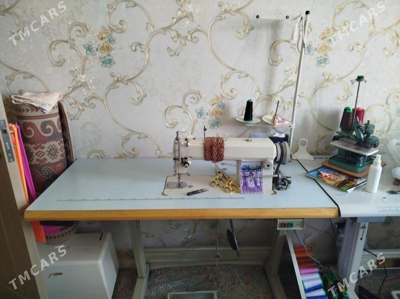 Dikin masyn - Parahat 1 - img 2