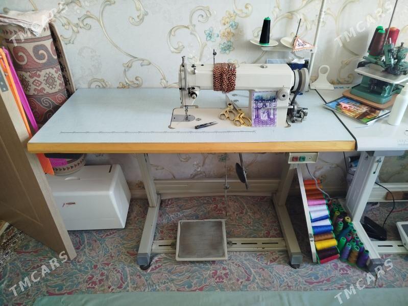 Dikin masyn - Parahat 1 - img 3