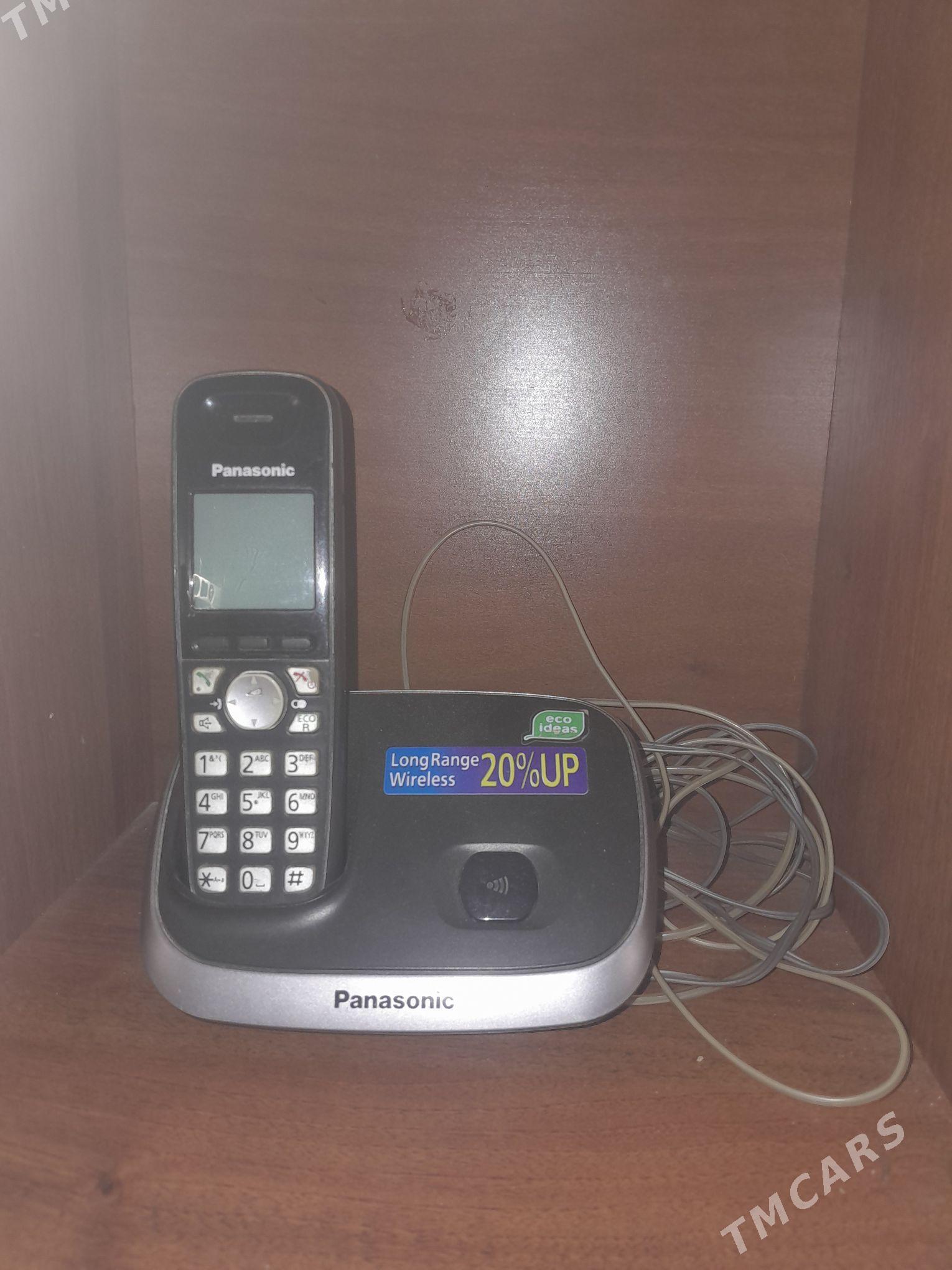 panasonis - Бахарден - img 2