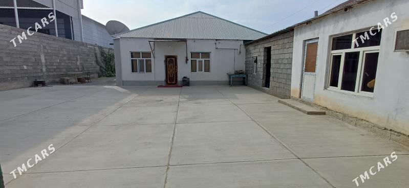 Satlyk jay Änew - Änew - img 1