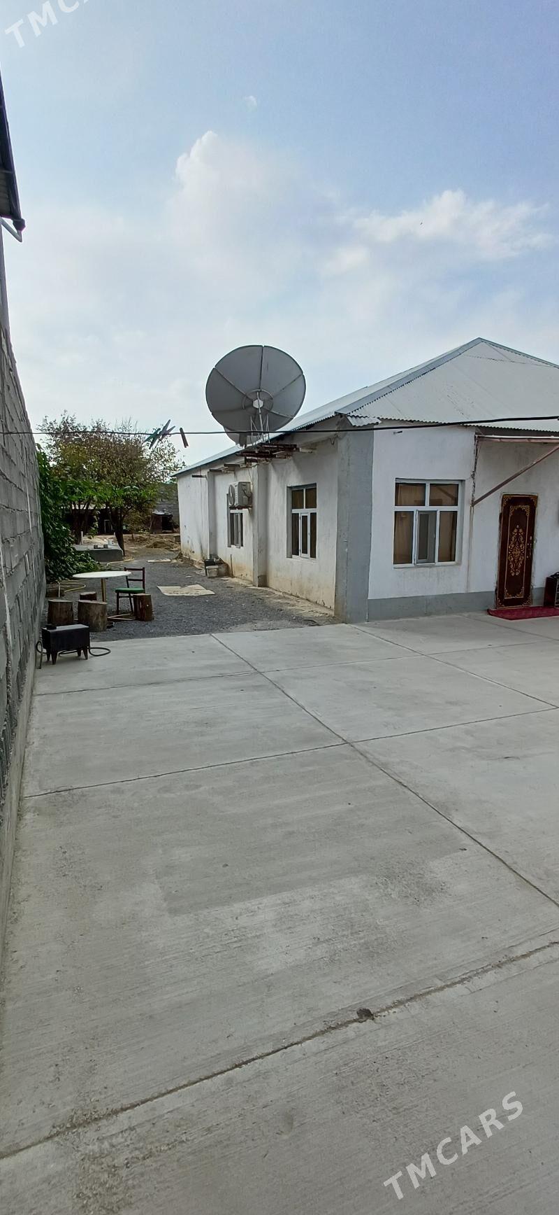 Satlyk jay Änew - Änew - img 2