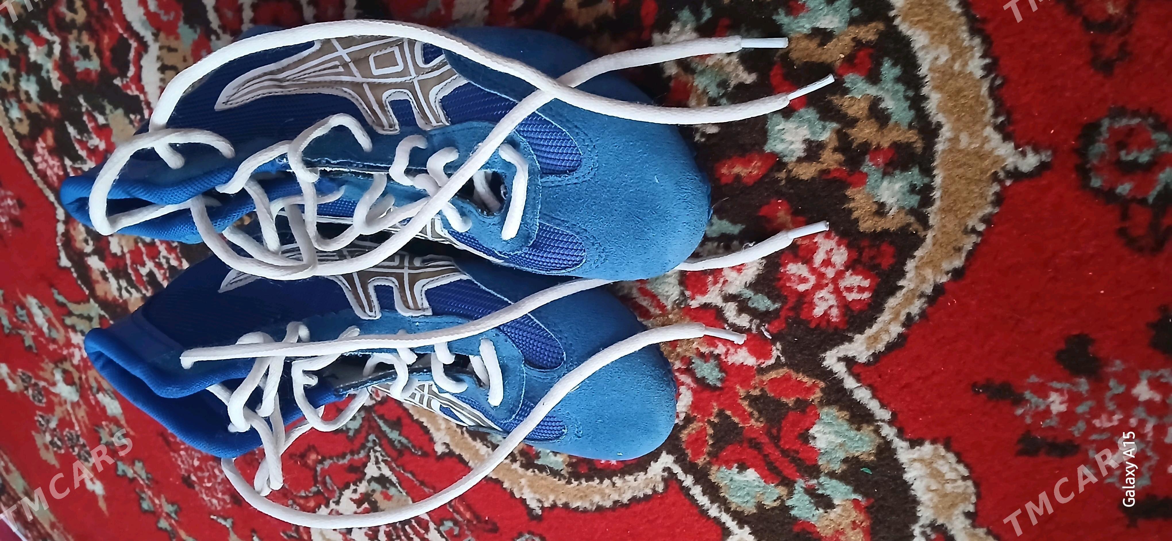 Barsovka - Daşoguz - img 2