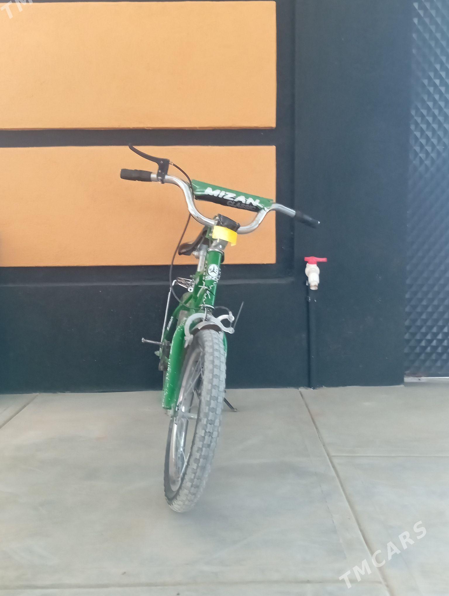 tigir - Bäherden - img 3