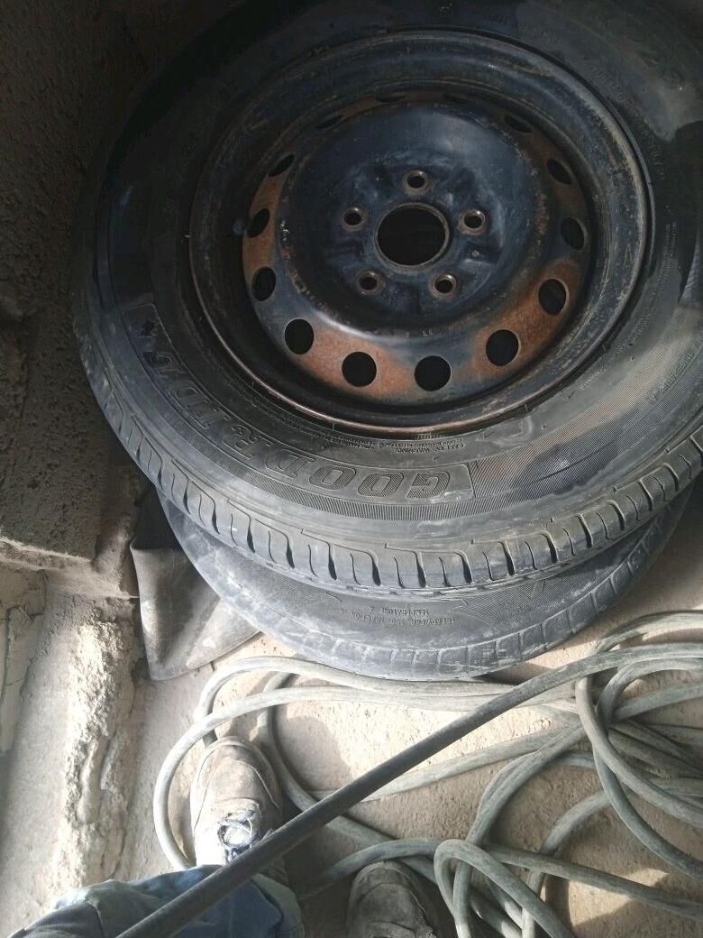 teker 400 TMT - Halaç - img 4