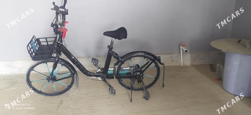 tigir - Änew - img 2