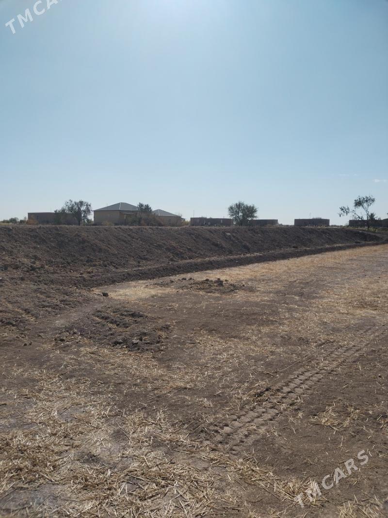 mellek yer - Гороглы (Тагта) - img 1