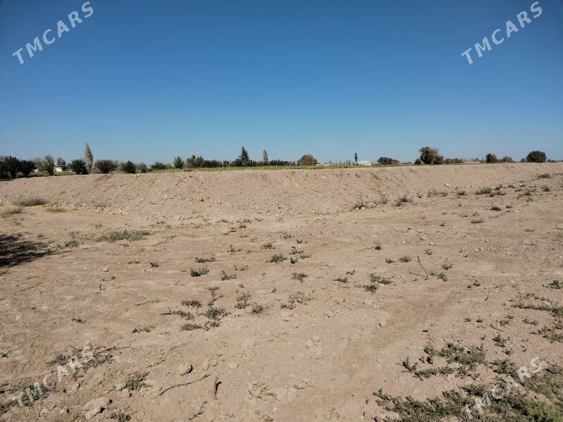 mellek yer - Гороглы (Тагта) - img 3