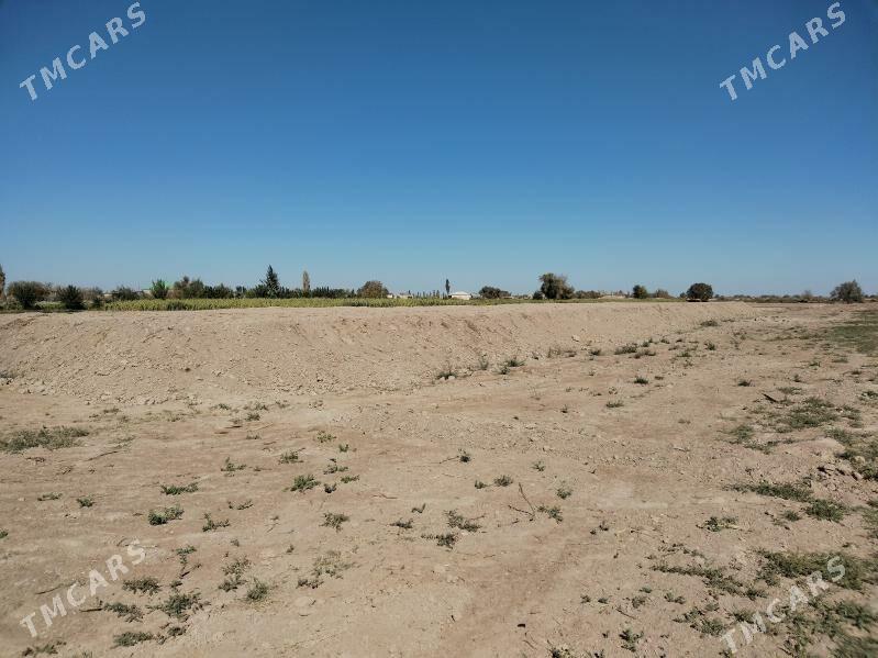 mellek yer - Гороглы (Тагта) - img 5