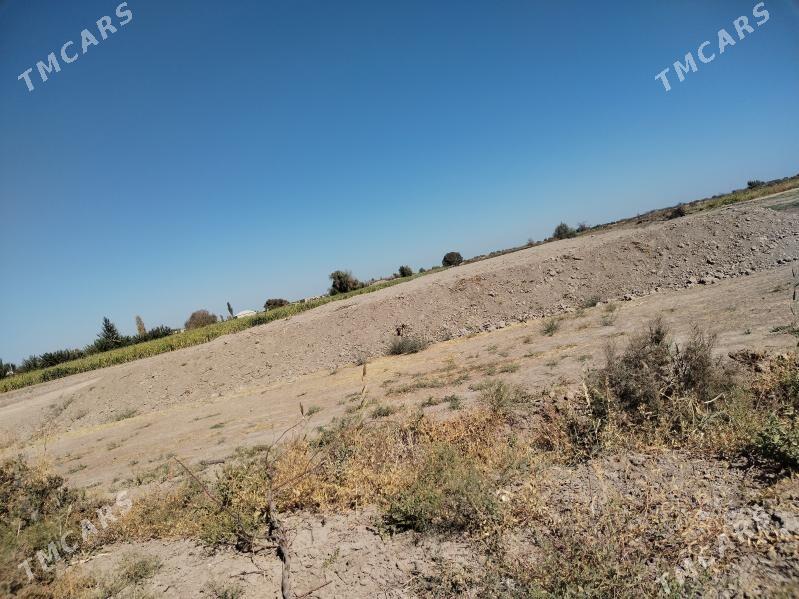 mellek yer - Гороглы (Тагта) - img 6