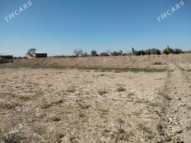 mellek yer - Гороглы (Тагта) - img 9