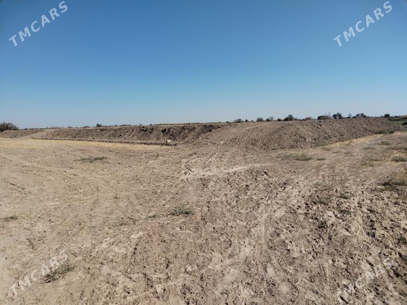 mellek yer - Гороглы (Тагта) - img 8