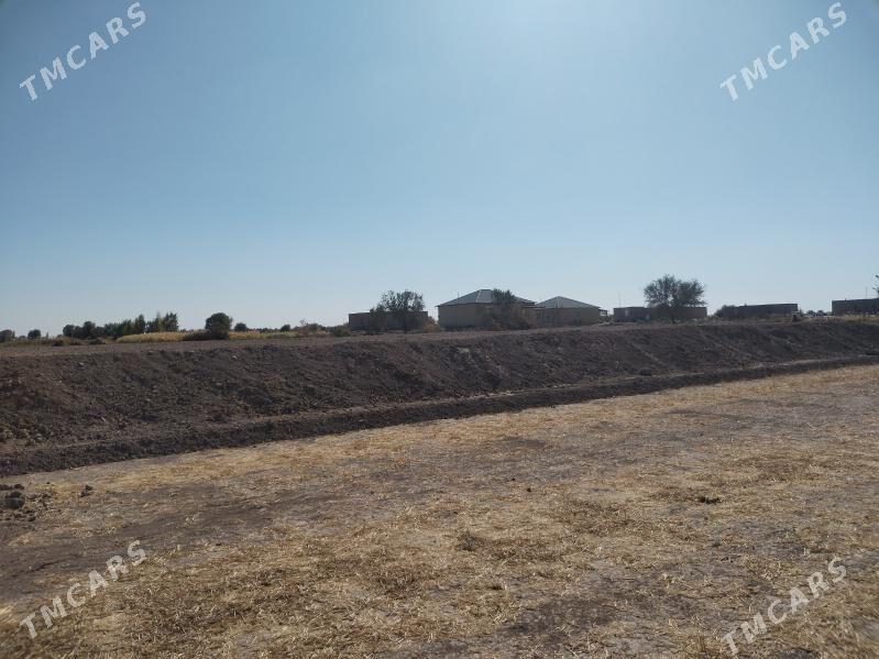 mellek yer - Гороглы (Тагта) - img 4