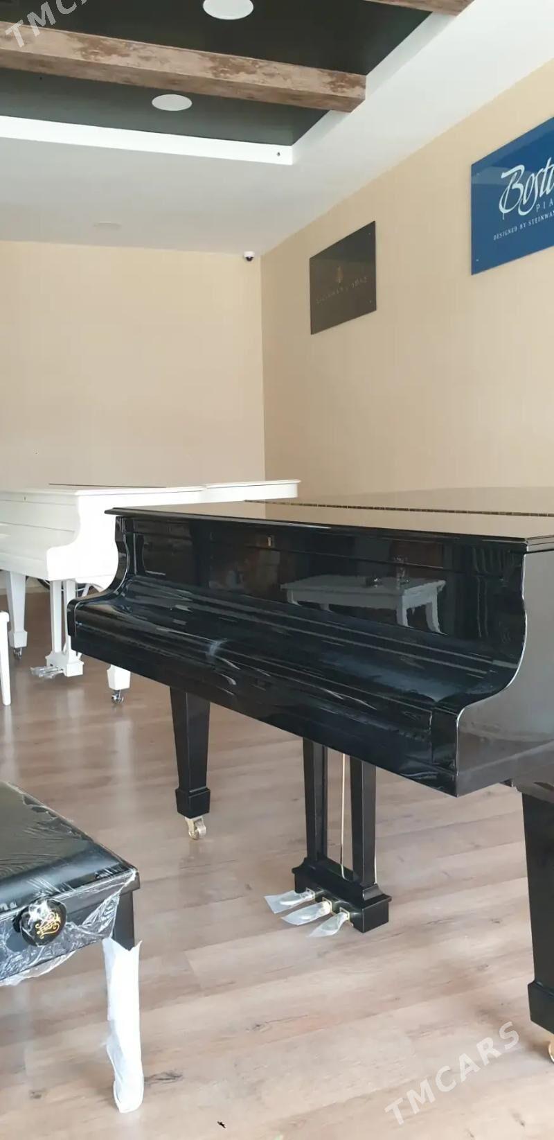 Рояль royal - Aşgabat - img 4