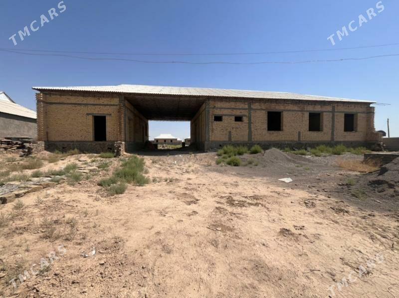 satlyk jay - Köýtendag - img 4