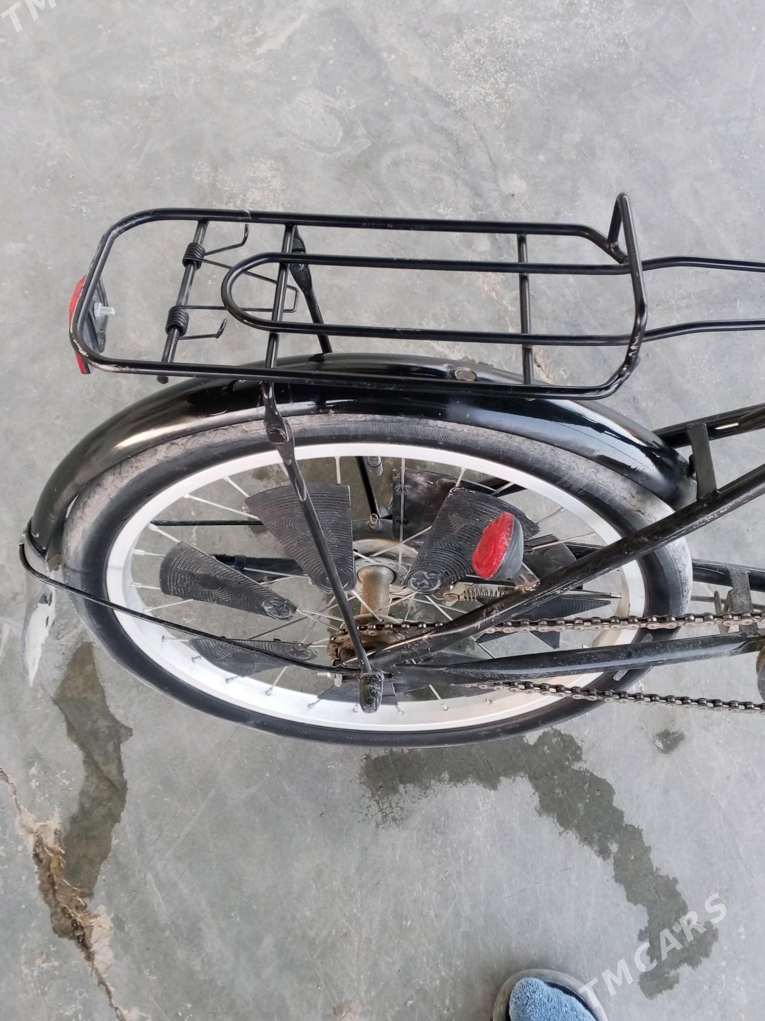 Tigir kama - Tejen - img 3