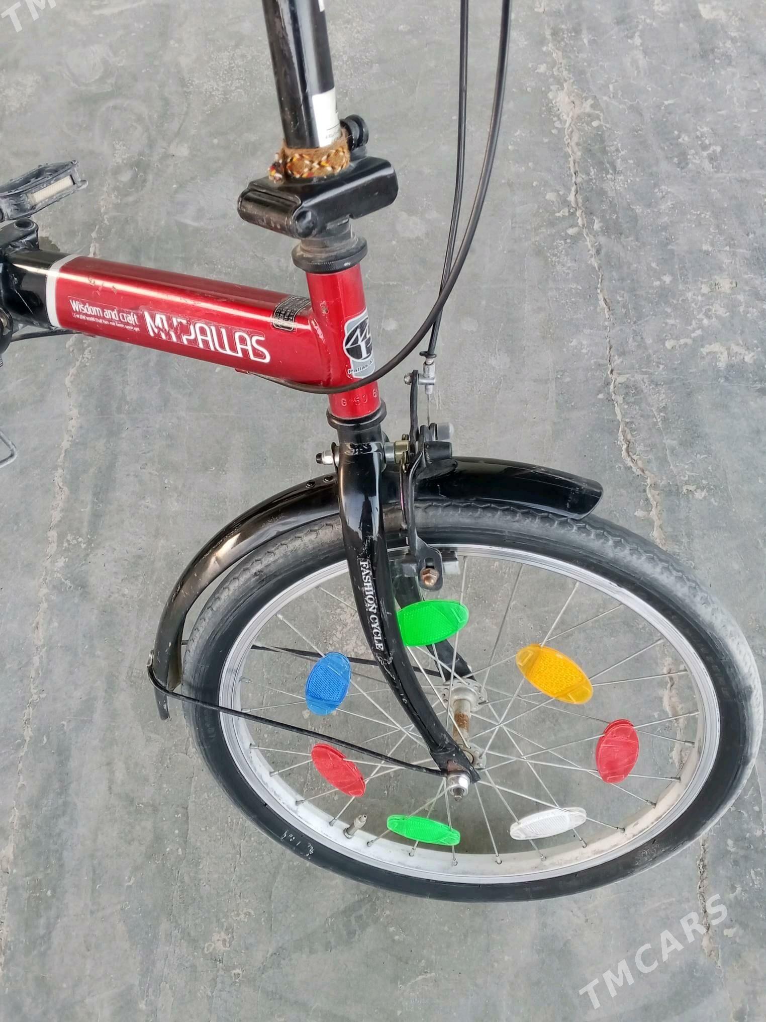 Tigir kama - Tejen - img 2