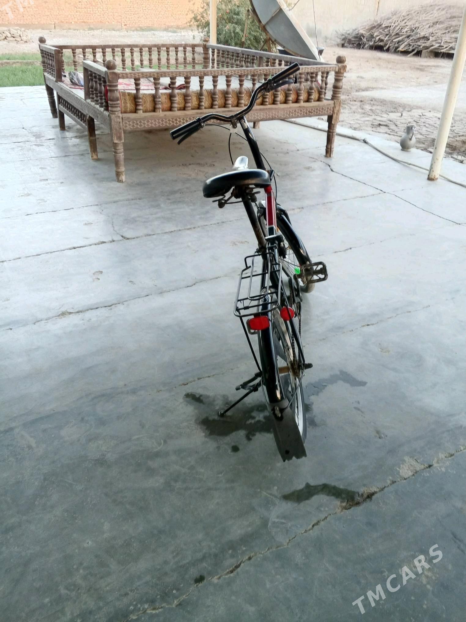 Tigir kama - Tejen - img 4