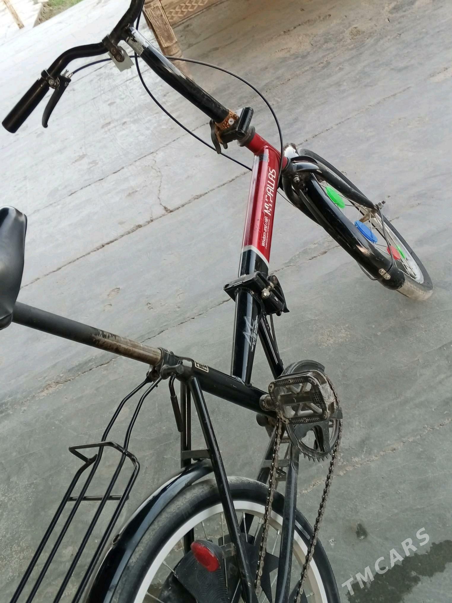 Tigir kama - Tejen - img 5