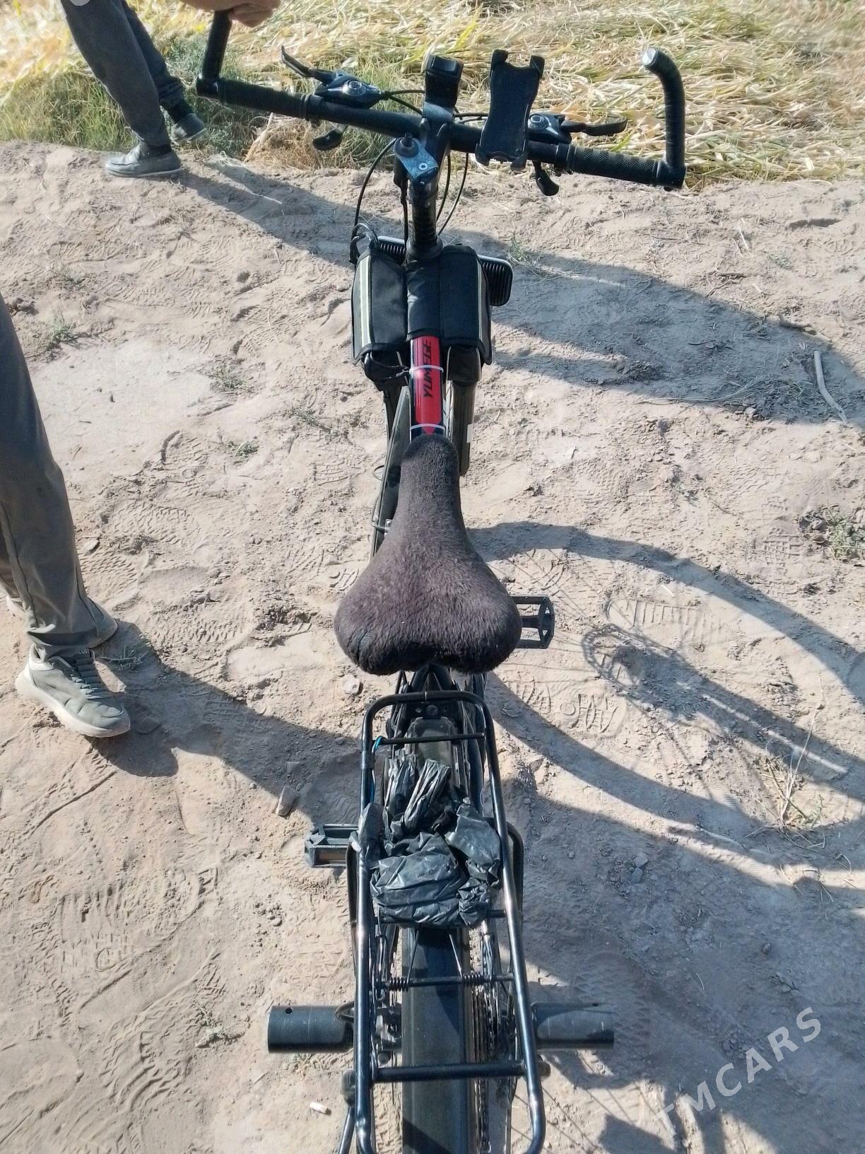 Welesopet - Görogly (Tagta) - img 3