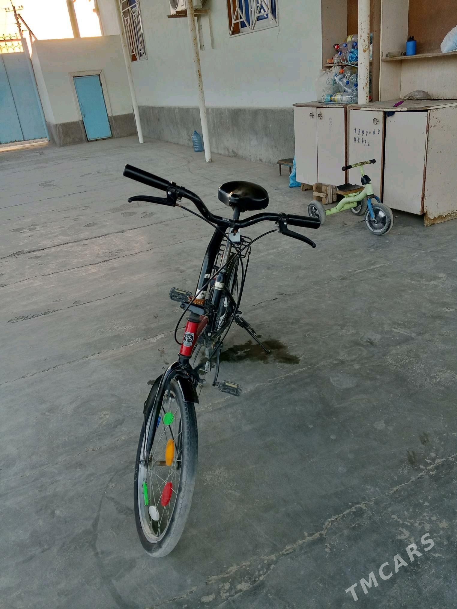 Tigir kama - Tejen - img 7