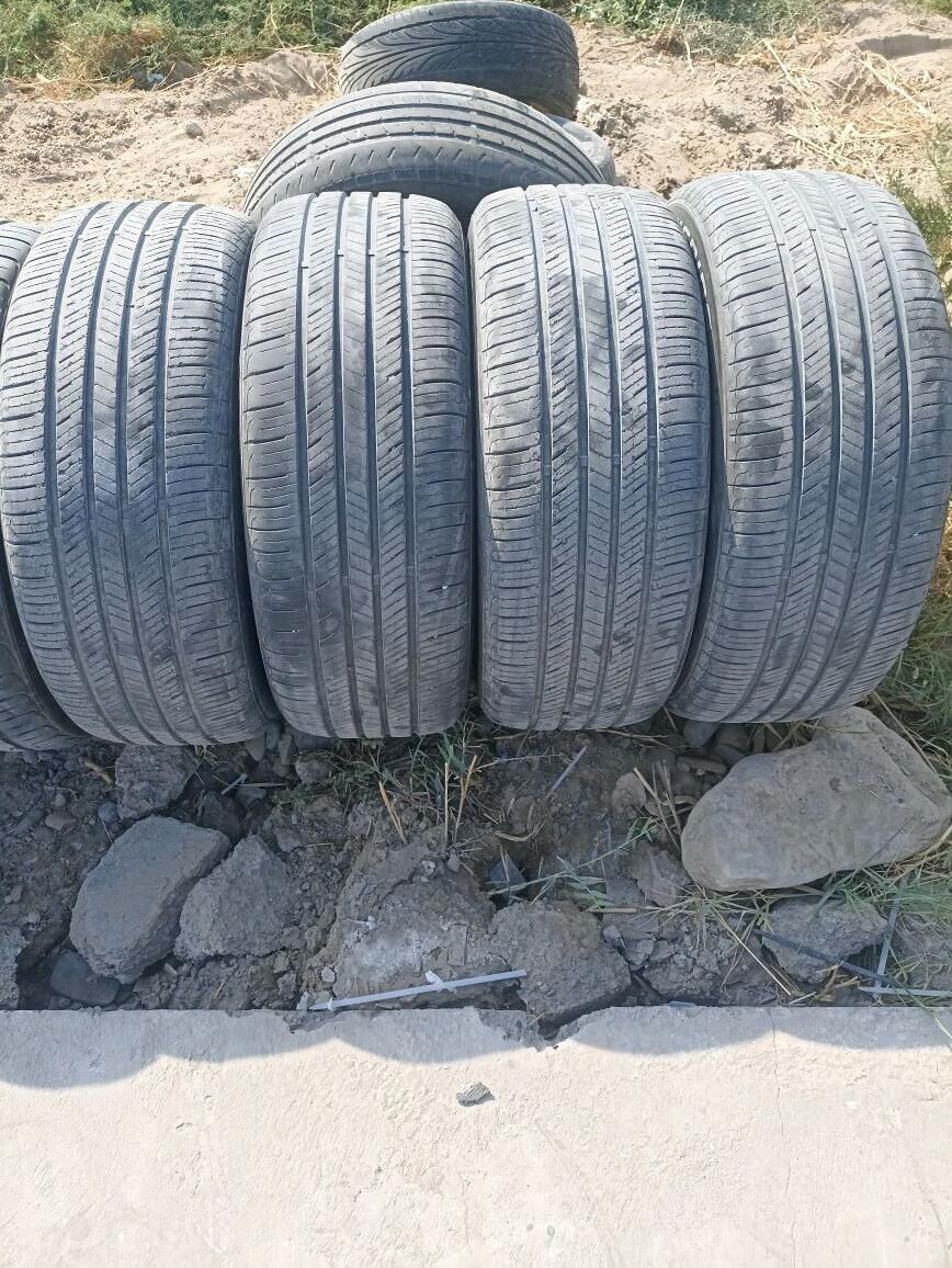 Saýlun Sambodia 225.55.17 1 000 TMT - Mary - img 2