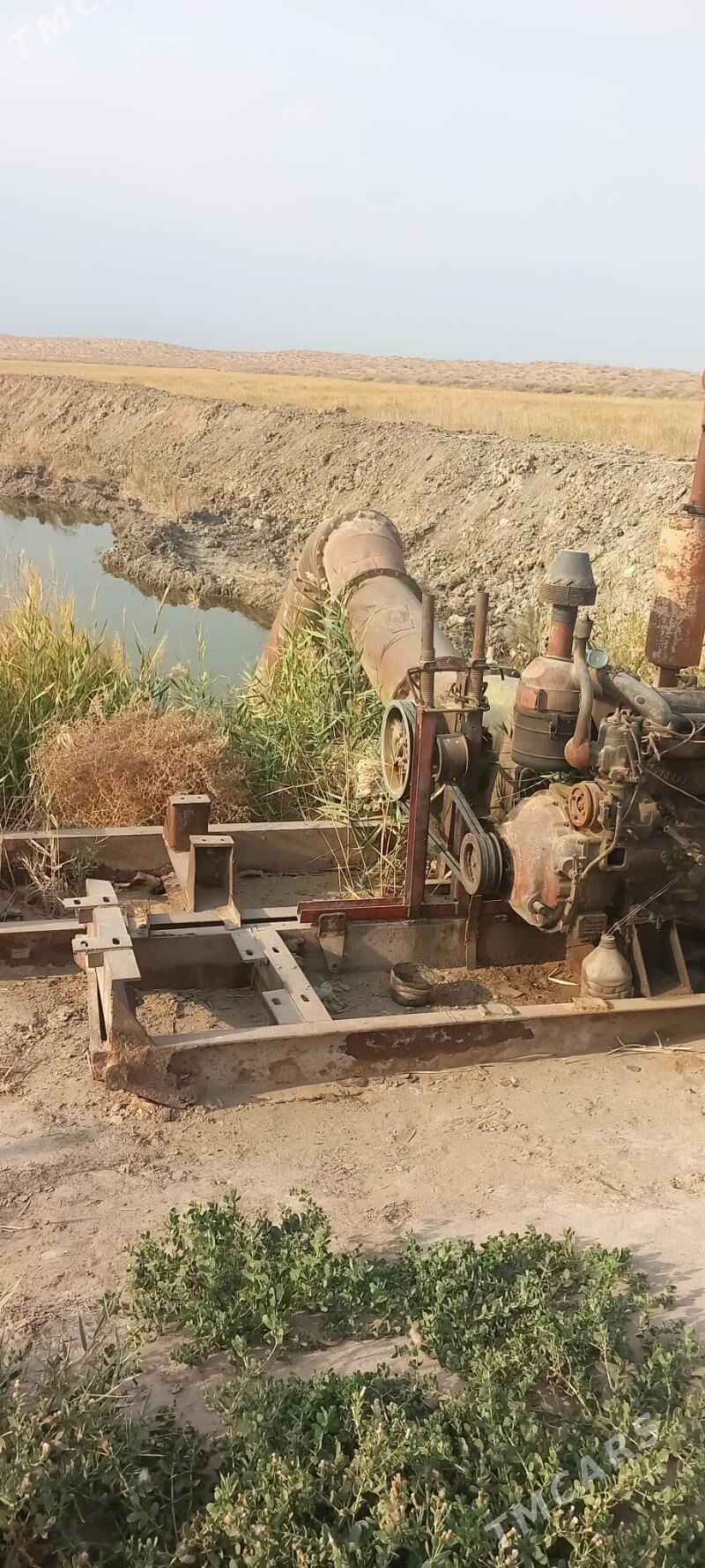 ALTAY NASOS - Aşgabat - img 2