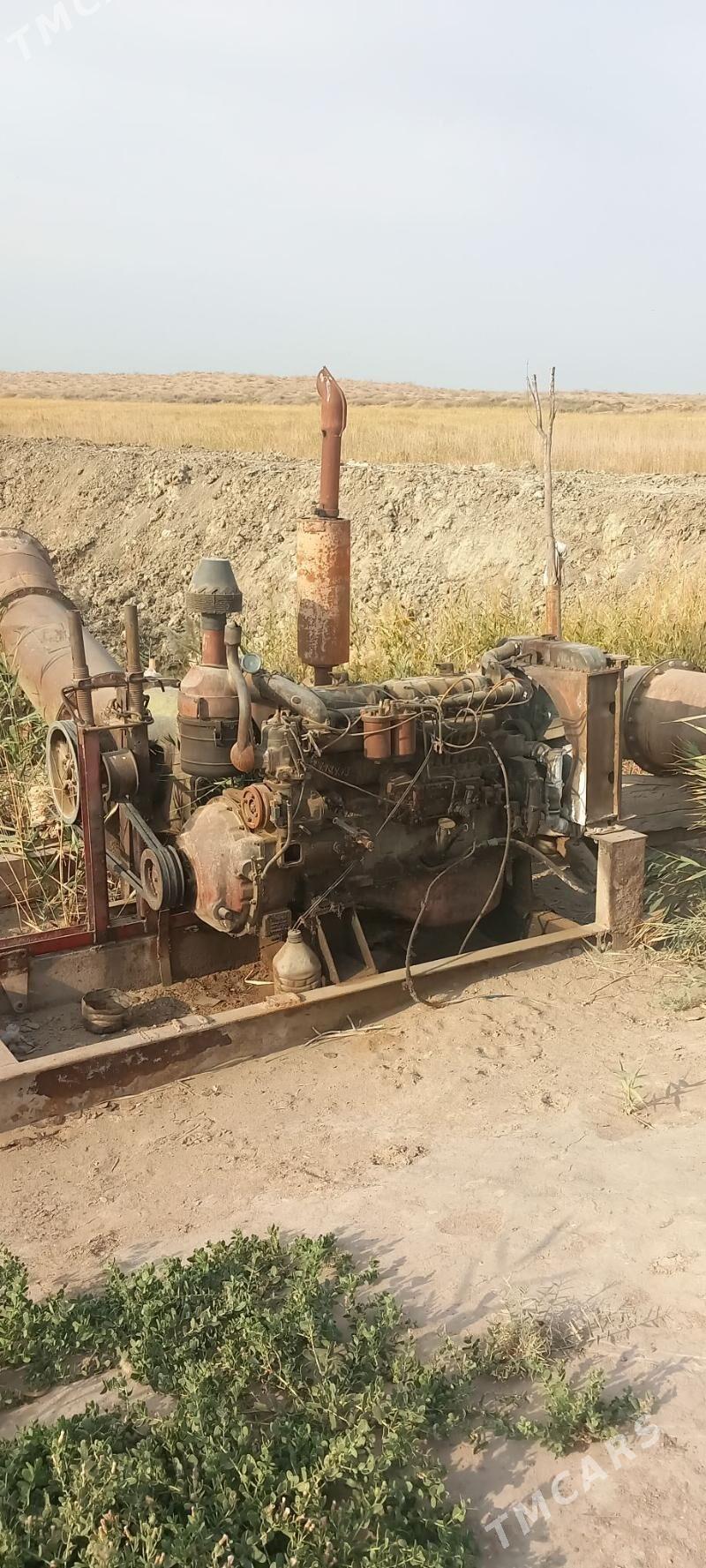 ALTAY NASOS - Aşgabat - img 3