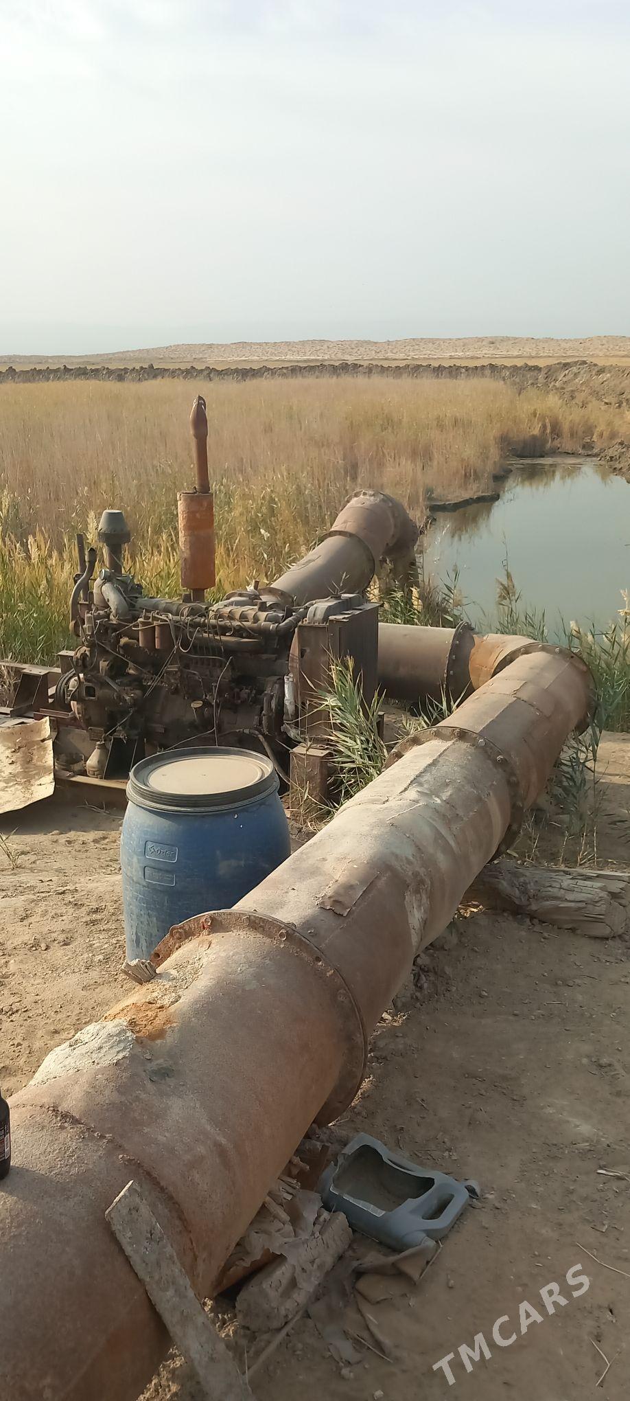 ALTAY NASOS - Aşgabat - img 5