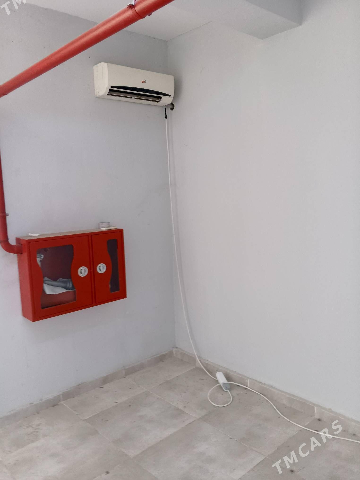 Padyval - Gurtly - img 3