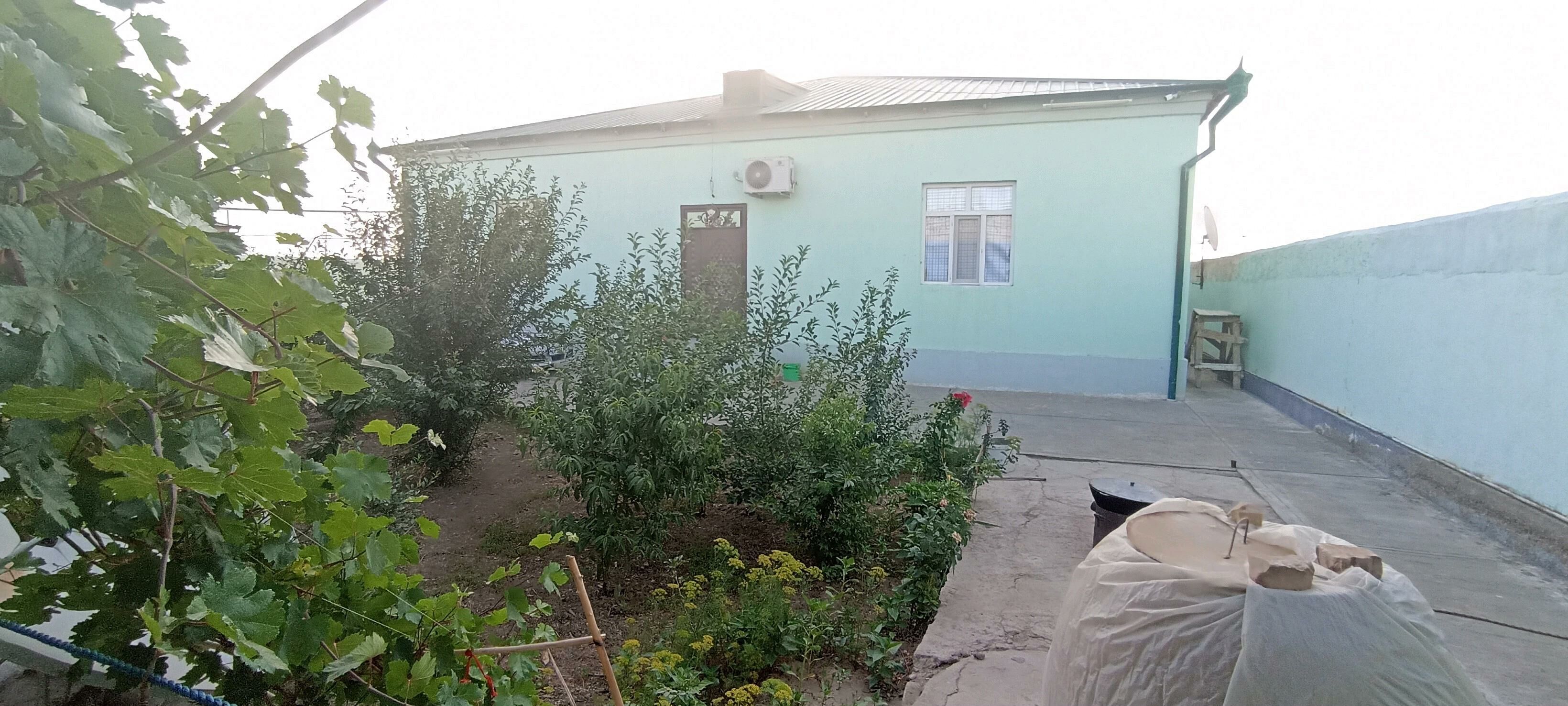 Satlyk jay - Дашогуз - img 2