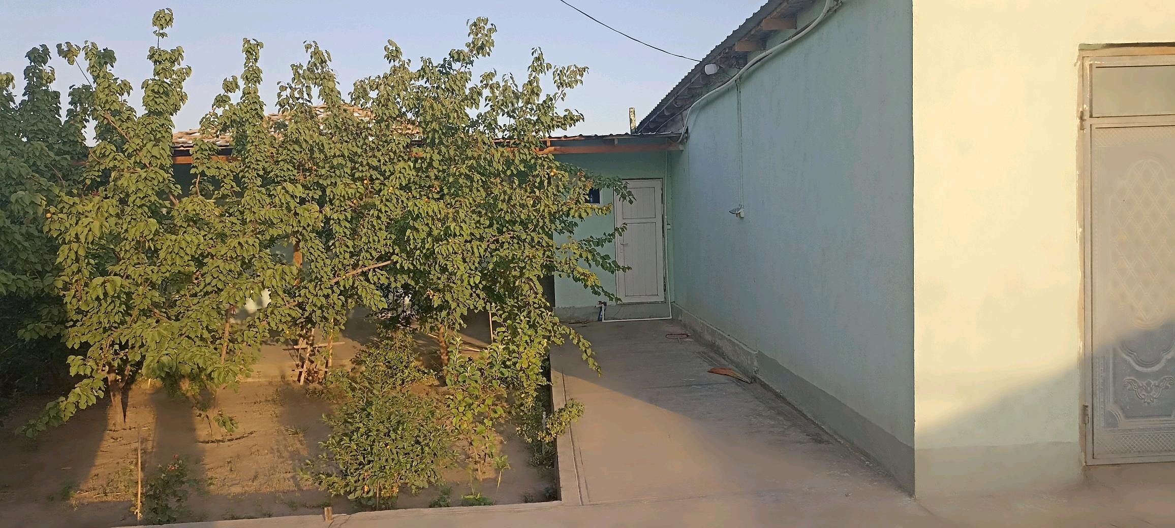 Satlyk jay - Дашогуз - img 3