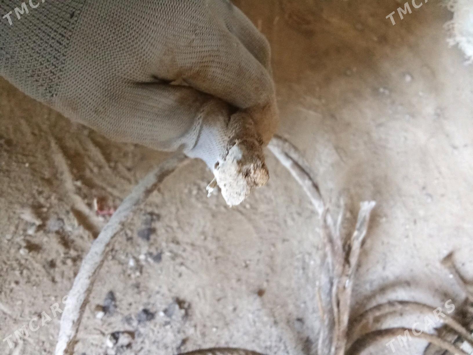 tros - Гумдаг - img 2