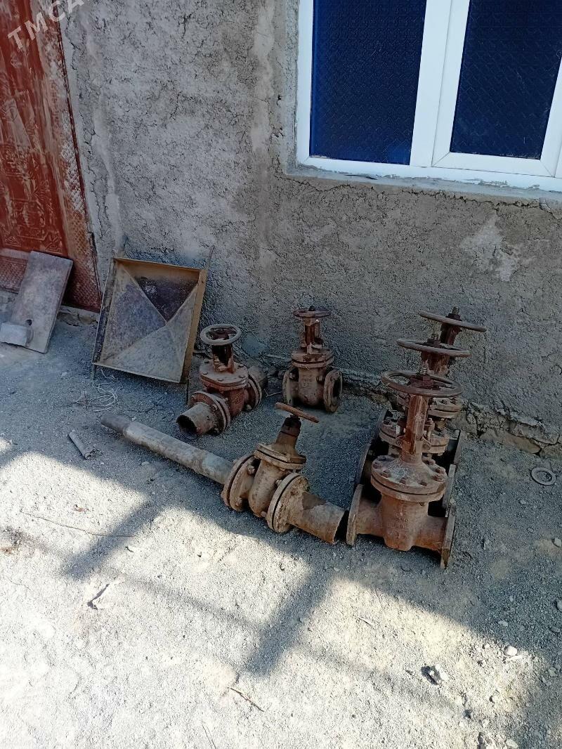 zadvişka krant - Magdanly - img 3