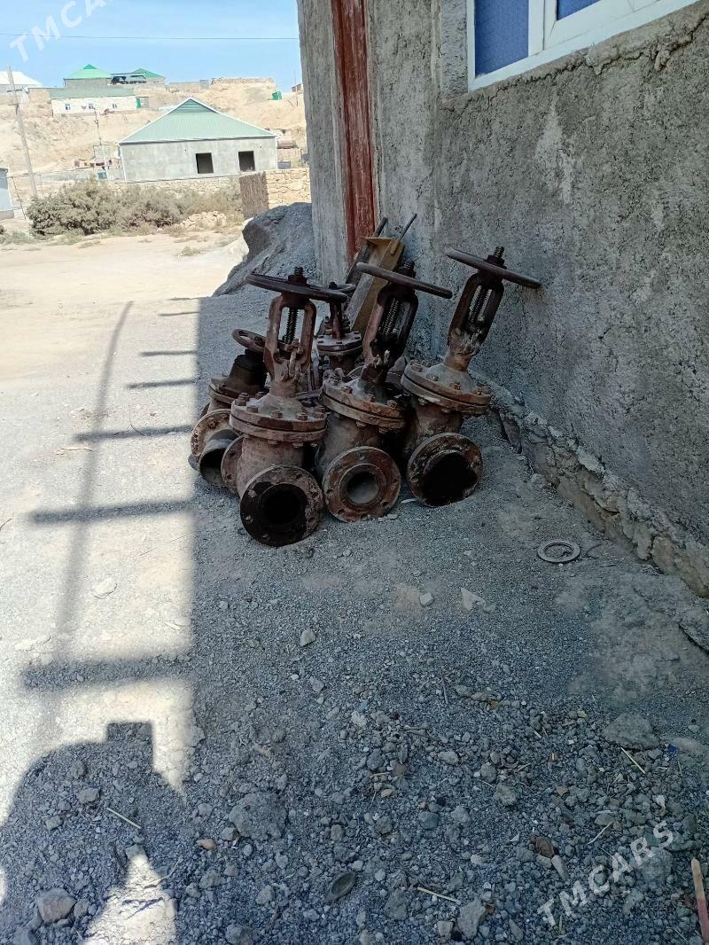 zadvişka krant - Magdanly - img 2